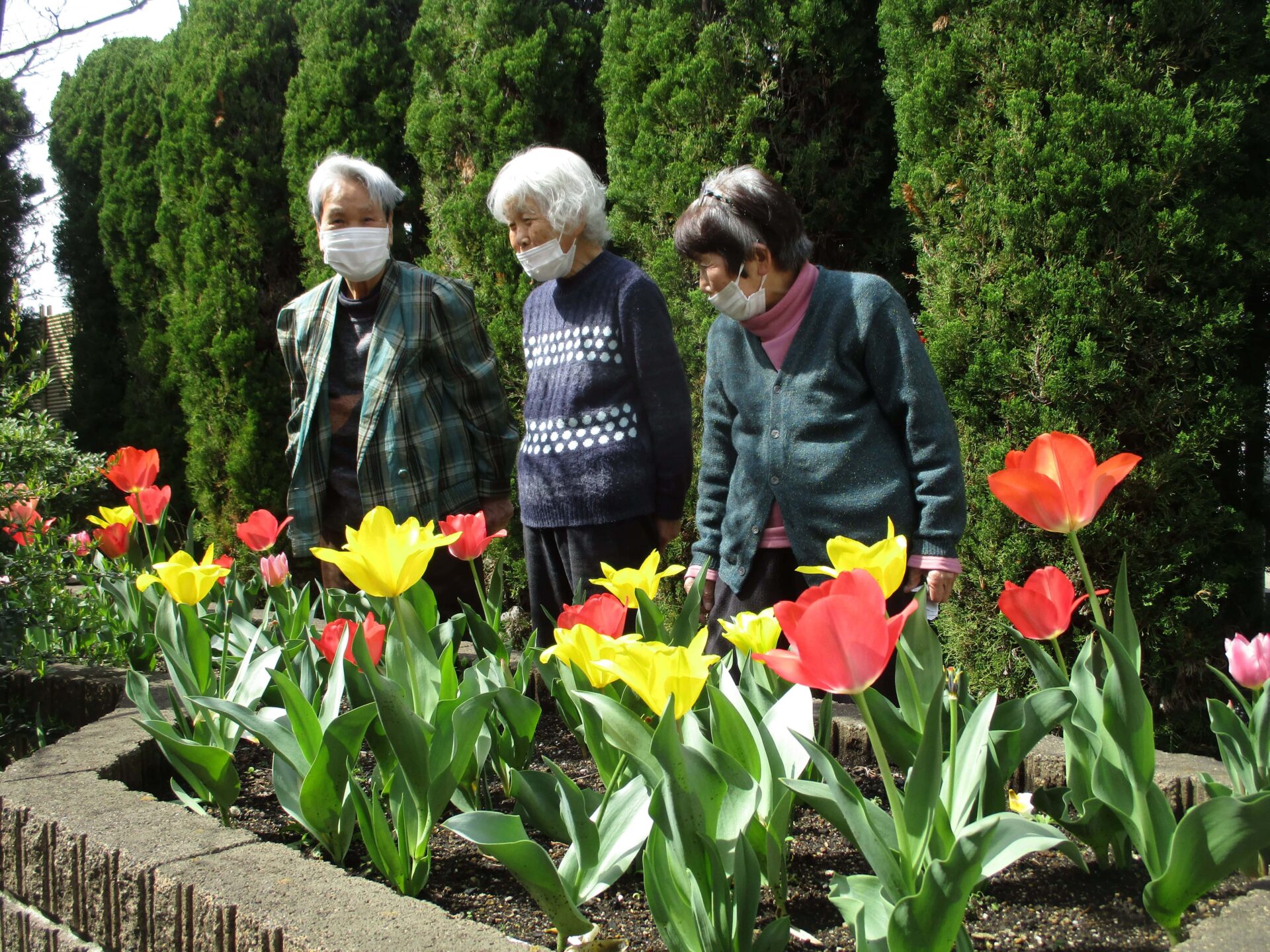 【4月】お花の鑑賞会