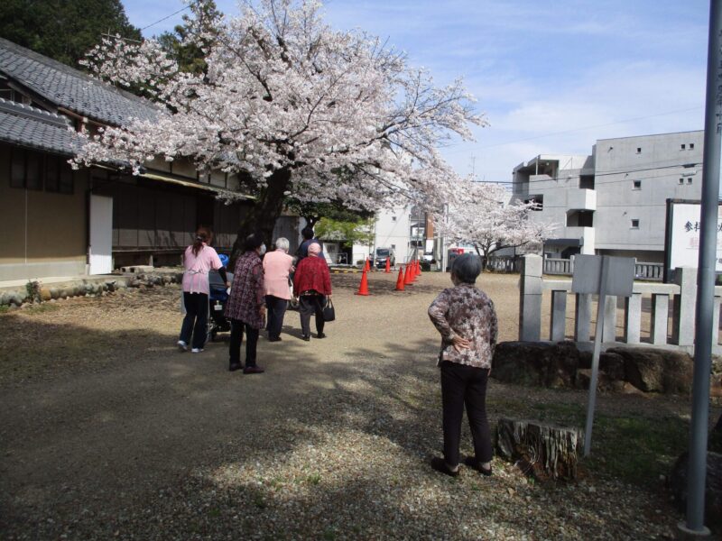 お花見の様子